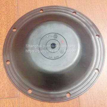 1A039 Diaphragms FKM Parts Fit Blagdon Pumps photo-2