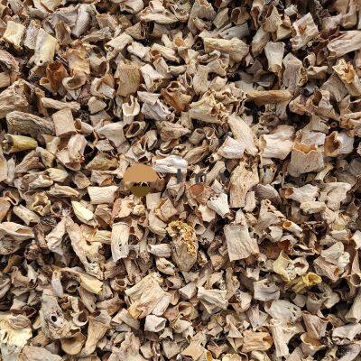 Dehydrated Dried Morel Mushroom Morchella Esculenta Conica photo-3