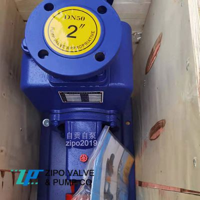 ZIPO no blockage horizontal self-priming pump cast iron electric sewage pump ZZX or ZZW type