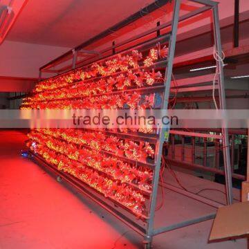 Express 5mm Les String Light photo-2