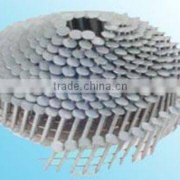 electro galvanized umbrella head roofing nails