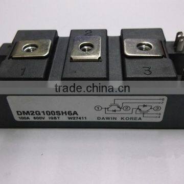 IGBT Module DM2G100SH6A