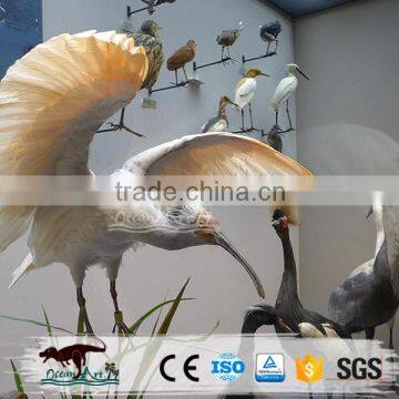 Life Size Animatronic Bird photo-4