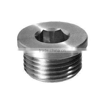 Socket screw plugs