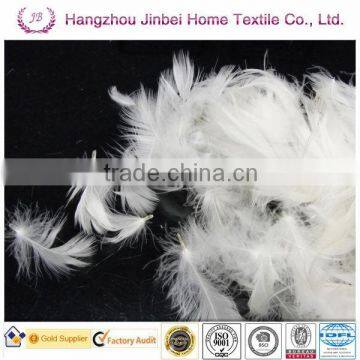 2-4CM WASHED WHITE DUCK FEATHER FOR SELLING!