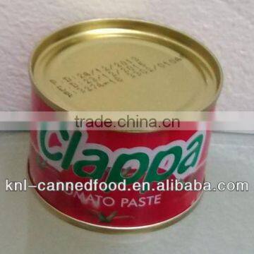 Tomato paste popular in Africa market 70gx50tins
