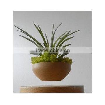 Low Price Levitating Pots for Plant Flower Pots photo-4