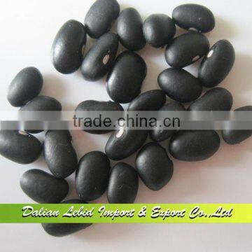 Small Black Turtle Beans, Price of Black Beans,Beans for Sale