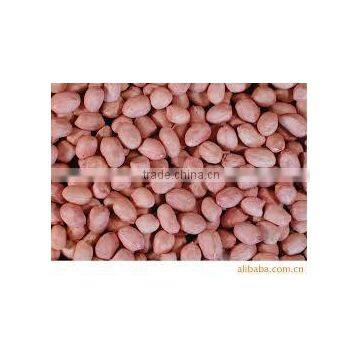 Peanut With Shell photo-2
