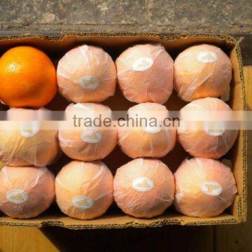 Chinese Navel orange/Fresh sweet navel orange sale