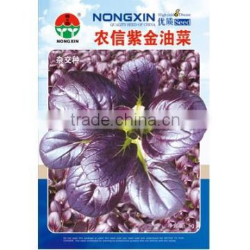 High Quality Chinese Hybrid Pakchoi Seeds For Growing-Purple Brassica