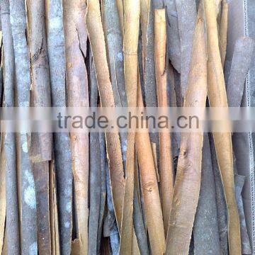 2015 CROP SPLIT CASSIA/CINNAMON (0084948425455 VIBER, WHATSAPP/SKYPE: VISIMEX05)