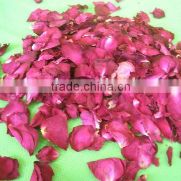 dry red rose leaf