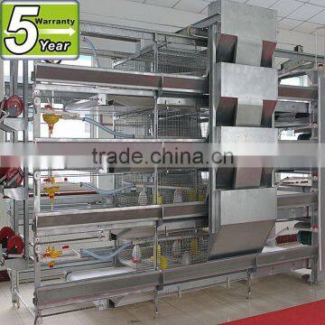 Factory direct sales H type cage of broiler