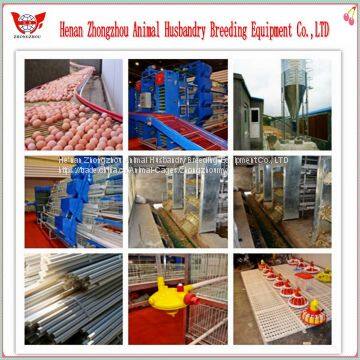 Professional Automatic Chicken Cage for Poultry Chicken Farm photo-4
