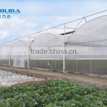 Arc Multi Span Polyethylene Greenhouse PE Film Greenhouse for Tomato Cucumber Flower Horticulture photo-2