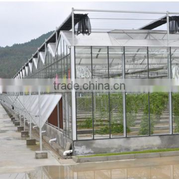 Easily assembled commercial glass greenhouse with best price