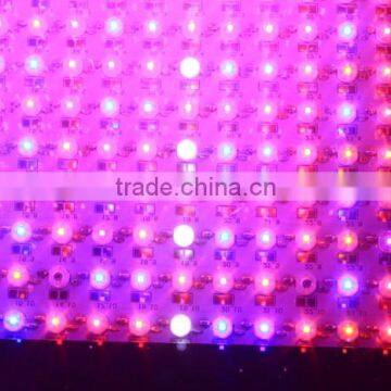 High Quality Greenhouse Cheap 600w Led Grow Lights for Sale photo-6