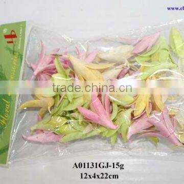 natural preserved flower