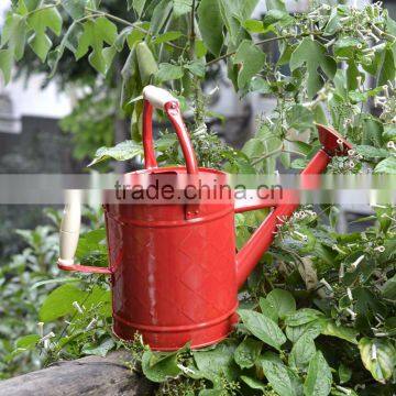 Colorful Decorative Metal Watering Cans With Two Handles for Kids photo-3