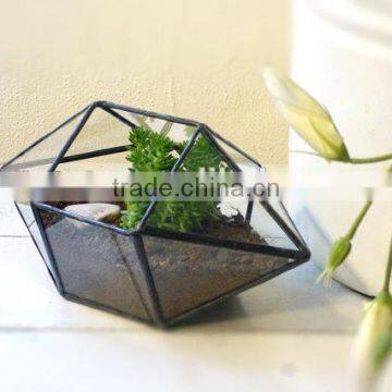 Wholesale hot sale clear geometric glass terrarium