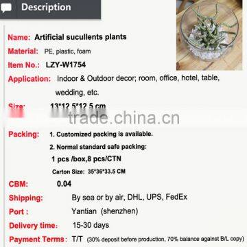 Artificial Preserved Succulents Artificial Potted Mini Succulent Plants Hot Sale Artificial Potted Plants photo-2