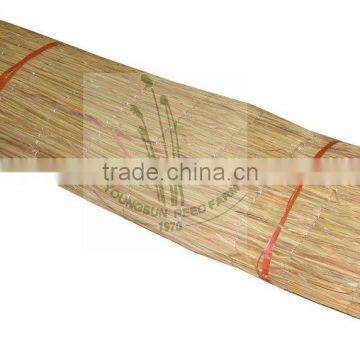 Natural Couch Grass Fence photo-2