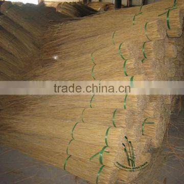 Water Reed for Roof photo-3