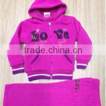 Ladies hooded Track Suit & Sports Wear (SYDG04)