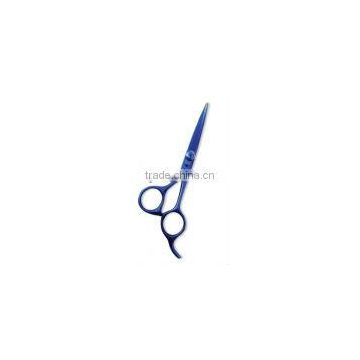 Professional Hair Cutting Scissors