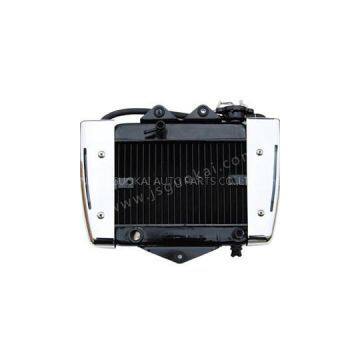 GK Foton 150LA Radiator