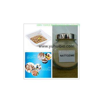 nattokinase,natural nattokinase,high quality nattokinase,nattokinase enzymes