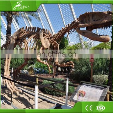 High simulation museum public display life-size dinosaur skeleton