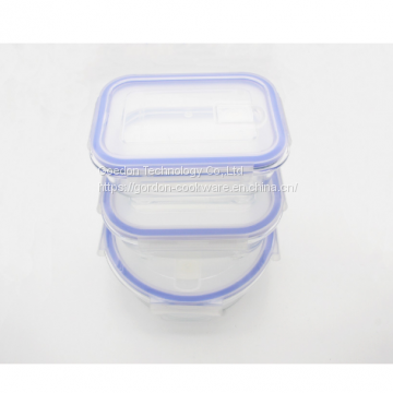 Storage Glass Food Container with Plastic Lid