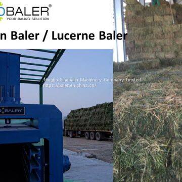 Lusern Baler / Lucerne Baler