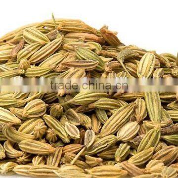 Fennel Seed