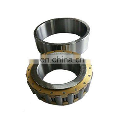 Hot Selling Machinery Use Bearing Steel Iron Cage Single Row Cylindrical Roller Bearing 3004264