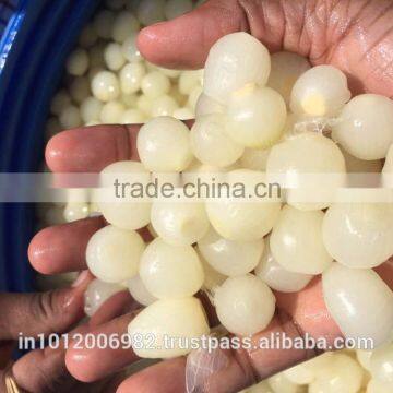 White Onion in Acetic Acid