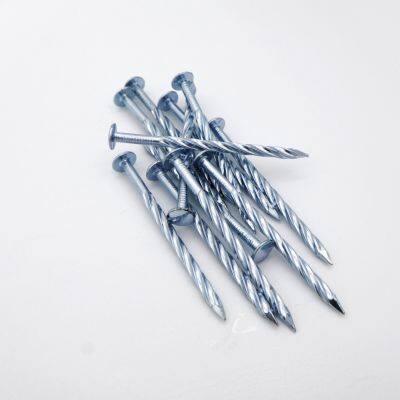 Twisted Shank Nails Q195 Material for Heavy-Duty Construction photo-2