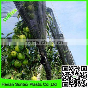 Black anti hail net for agriculture