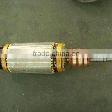 Rotor for hoist motor