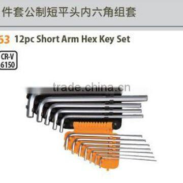 12pc Short Arm Hex Key