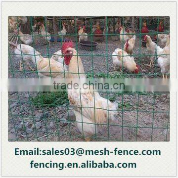 Good quality Galvanized /PVC Euro Fence ForChicken cage