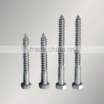 Hex lag screw