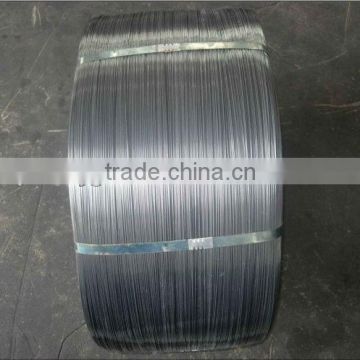 manufacturer of Hot Sale 304 Stainless Steel Wire by BV Certification supplier