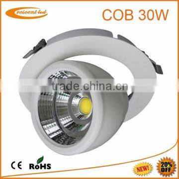 LED Indoor Downlight COB Gimbel Down Light CE/Rosh Listing 2015 New Arrivel Hot Design Embedded Light 15W