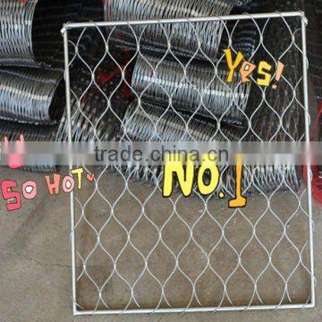 stainless steel framed mesh/safty mesh/balustrade mesh