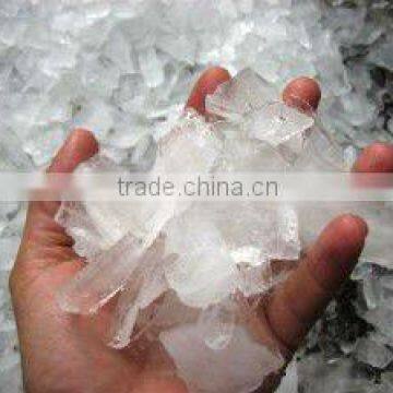 Used Machinery Ice Plate Machine for 3 Tons Per Day photo-2
