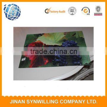 100% polyester transfer printing vegetable fruit design dinning mat