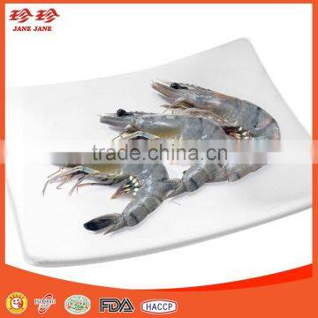Frozen White Prawn